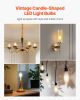 VEVOR LED Candelabra Bulbs, 12-Pack Dimmable Chandelier Light Bulbs, Vintage Clear Glass Candle Light Bulb with 2725K Warm Lighting, 90+ High CRI & E